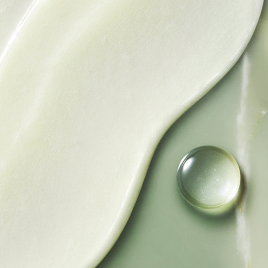 Body Metamorphic・Lotion